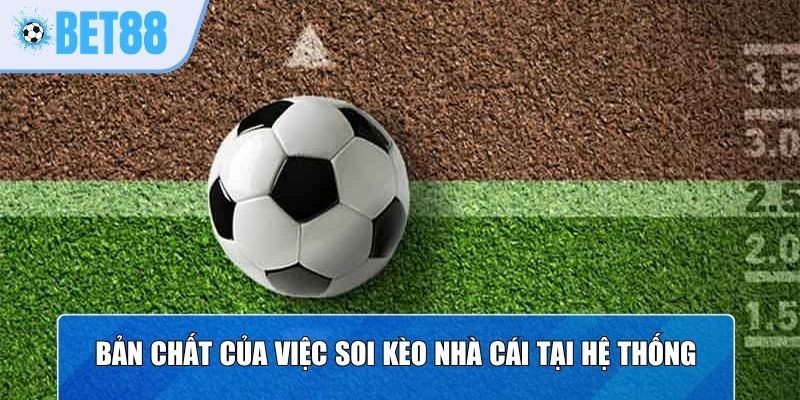 Bản chất của việc soi kèo nhà cái tại hệ thống 